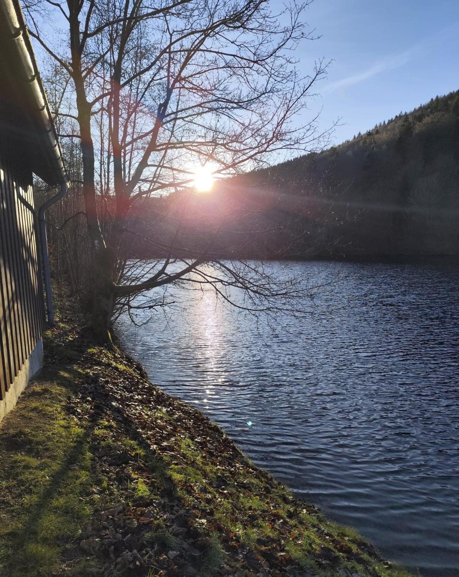 Yalet Ferienhaus 2 Appartementen Vlakbij Willingen Brilon-Wald Exterior foto
